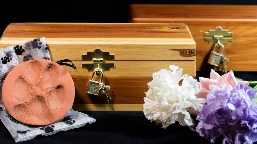 pet funeral